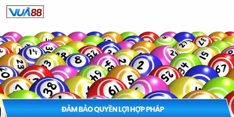 Đảm bảo quyền lợi hợp pháp