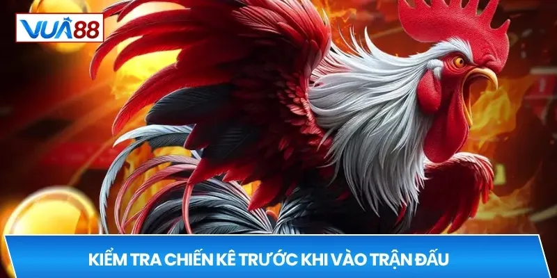 Kiểm tra chiến kê trước khi vào trận đấu